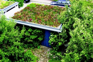  Gründächer schaffen neuen Nutz- und Lebensraum für Insekten und Tiere auf Dachflächen 