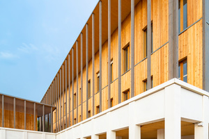   Auf einem massiven Sockel aus Stahlbeton entstanden die ein- bis zweigeschossigen Schulgebäude des Lycées Monte Cristo in Holzbauweise 