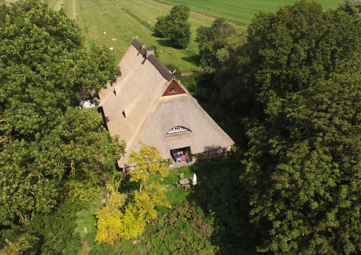 2_Reetdachhaus_ehemaliges_Bauernhaus_bei_Itzehoe.jpg