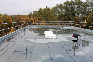  Der Seitenschutz ermöglicht barrierefreies Arbeiten auf der gesamten Dachfläche. Nach Abschluss der Dacharbeiten wird er wieder demontiert   