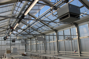  Im Dachgewächshaus „Altmarktgarten Oberhausen“ wird das Glas-Folien-System aktuell unter realen Einsatzbedingungen im Ganzjahresbetrieb getestet&nbsp; 
 