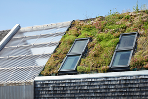  Das begrünte Dach bietet Pflanzen und Insekten einen zusätzlichen Lebensraum. Für die Belichtung wurden die Dächer mit Velux-Dachfenstern ausgestattet 