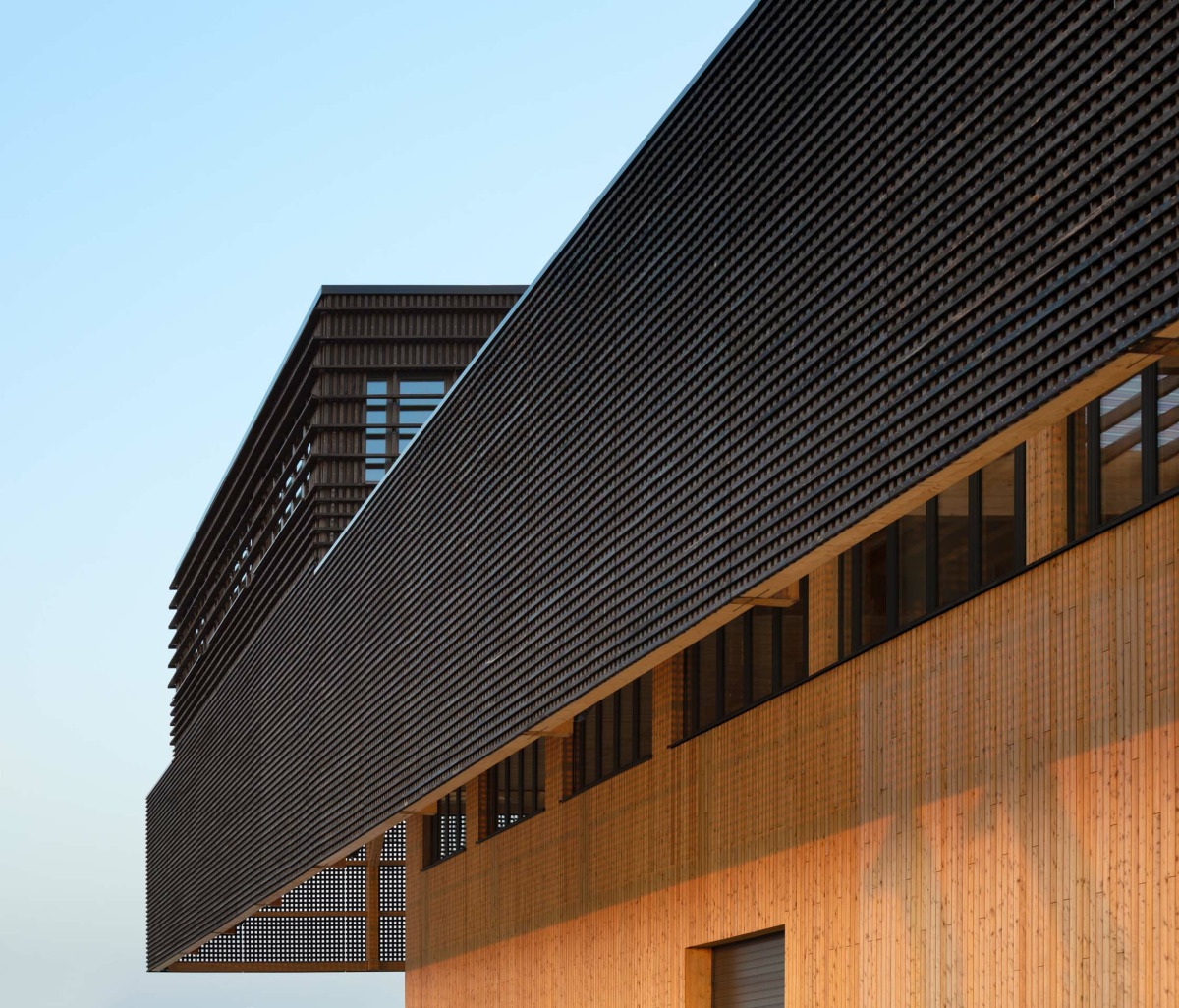 Vordach karbonisiertes Laerchenholz Fassade unbehandeltes Laerchenholz