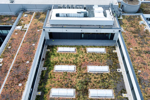  Gruendach Stadtler GmbH Berlin Retentionsdach 