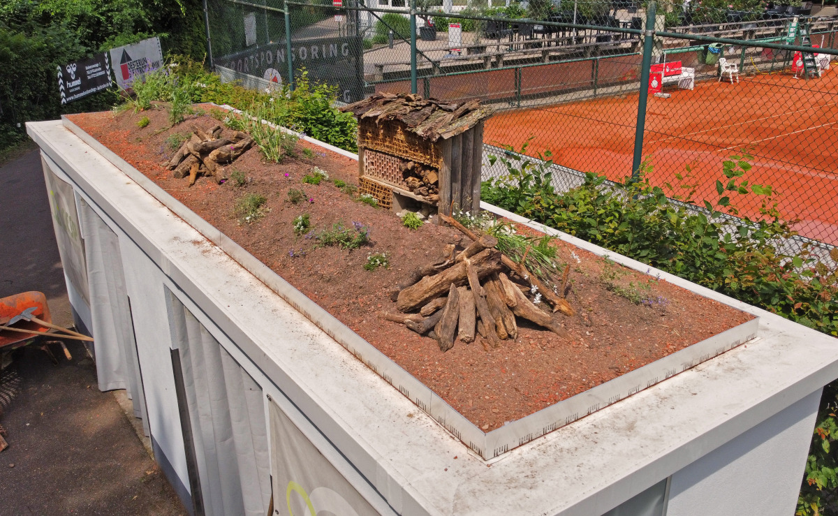 Kleines Gruendach mit Insektenhotel und Totholz