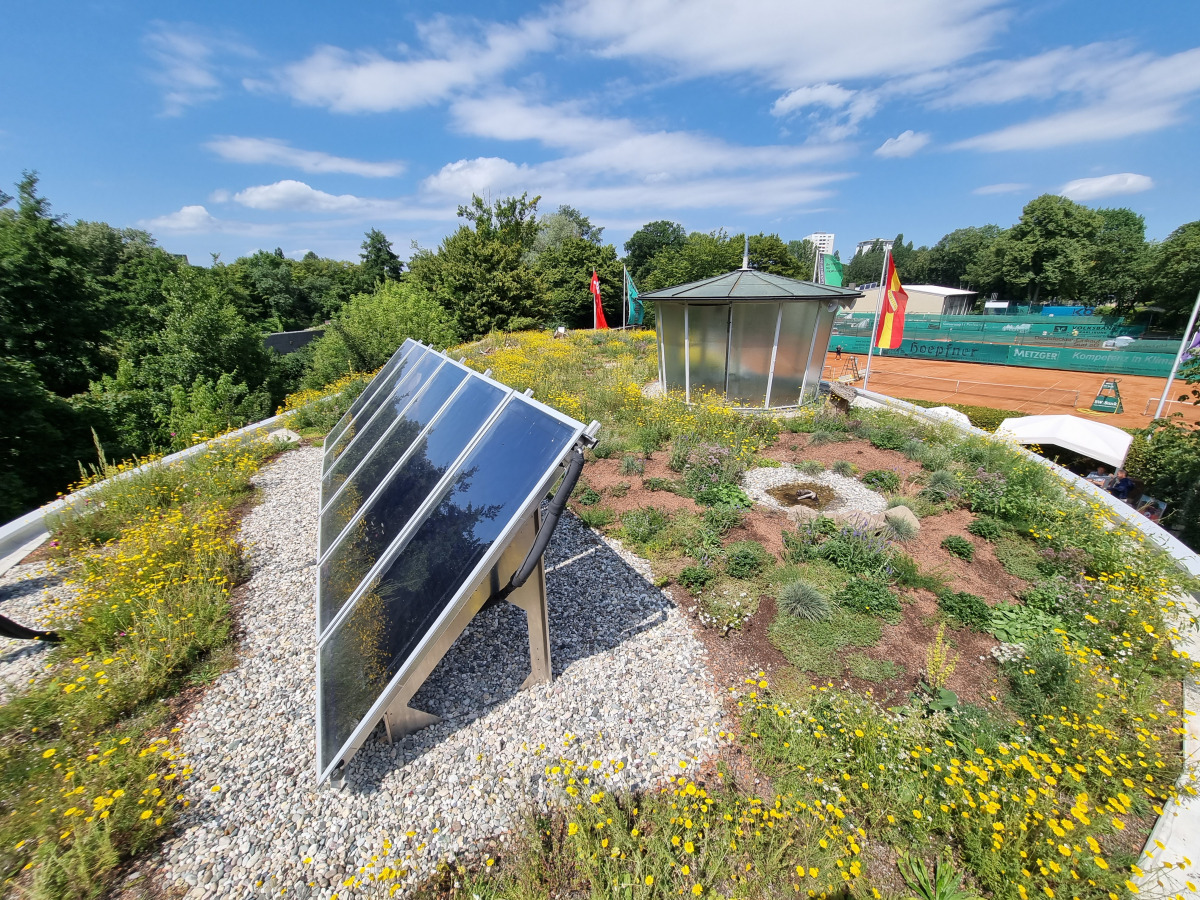 Dachbegruenung Solaranlage KETV Karlsruhe