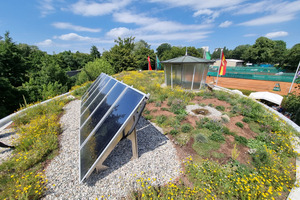  Dachbegruenung Solaranlage KETV Karlsruhe 