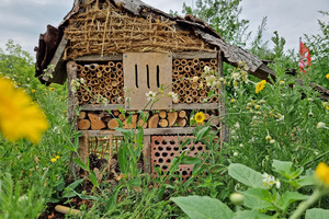  Das Insektenhotel auf dem Gründach des KETV-Clubhauses in Karlsruhe 