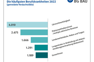  Das Balkendiagramm zeigt die Anzahl der Verdachtsfälle von Berufskrankheiten, die 2022 der BG Bau gemeldet wurden 