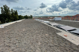  Dach Begrünung Photovoltaikanlage Flachdach 