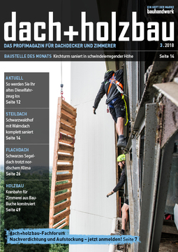  dach+holzbau Ausgabe 3.2018 