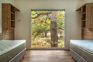  Wohnen unter Bäumen, inmitten des Waldes: Die großen Fenster der Ferienhäuser bieten Ausblicke in die Umgebung  
