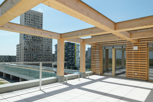  Im Bereich der Dachterrasse des „Open Space“-Büros haben die Balken und Stützen aus Fichtenholz eine rein ästhetische Funktion 