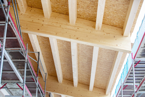 Das Dachtragwerk besteht aus Satteldachbindern und dazwischen montierten Koppelpfetten. Unter dem Vordach bleiben das Tragwerk und die OSB-Schalung sichtbar 
