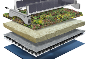  Querschnitt eines Dachaufbaus mit Over-Easy-Solarmodulen und Sempergreen-Sedumdach 