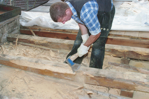  Bebeilungen an einem vom Hausbock geschädigten Bauteil 