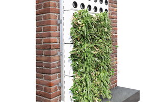  Der Dachdeckerbetrieb entschied sich bei der Wandbegrünung für eine Unterkonstruktion mit Hutschienen zur Wandbefestigung und zusätzlichen, schraubbaren Füßen zur Aufständerung auf einem Fundament in Kombination mit Pflanzkassetten  