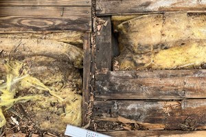  Vor der Sanierung wurden Probeöffnungen im Dach erstellt. Dabei zeigte sich, dass die Unterkonstruktion in Teilbereichen beschädigt und die als Ersatz für die abgerutschte Korkdämmung eingebrachte Mineralwolle durchfeuchtet war 