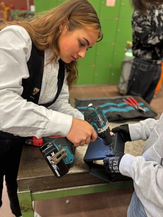 Vogelhaus Prefa Aluminiumbleche Projekt Handwerk on Tour