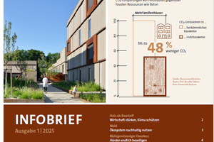 Titelbild der Ausgabe 1/2025 des neuen „Infobrief Holzbau“ 