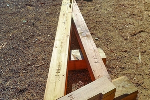  Kraftbein, franz. Jambe de Force 