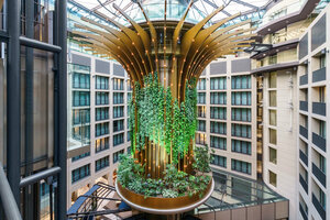 Das Siegerobjekt in der Kategorie „BuGG-Innenraumbegrünung des Jahres 2025“: Der Living Tree im Radisson Collection Hotel Berlin