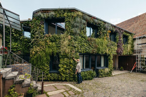 Platz 1 in der Kategorie „BuGG-Fassadenbegrünung des Jahres 2025“: Einfamilienhaus in Karlsruhe