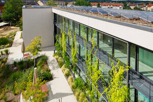 Der Kindergarten „Pieschner Kinderinsel“ in Dresden wurde zur „BuGG-Gesamtbegrünung des Jahres 2025“ gewählt