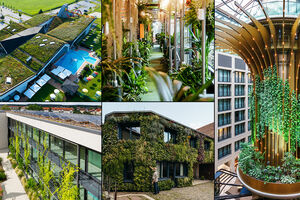 BuGG-Wettbewerb „Gebäudegrün des Jahres 2025“ entschieden: Die Gewinner in allen 5 Kategorien