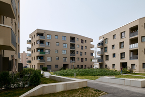  Die vier Wohngebäude gruppieren sich um einen halböffentlichen Innenhof 