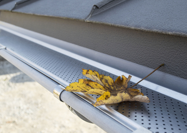 „Gutter Stark Laubschutz“ von Zambelli 