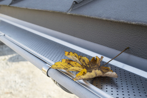  „Gutter Stark Laubschutz“ von Zambelli  