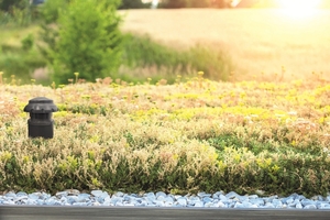  Fleck präsentiert auf der Dach+Holz 2026 auch Lösungen für das Gründach 
