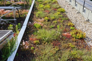  Die Solaranlage ist von allen Seiten gut zugaenglich 