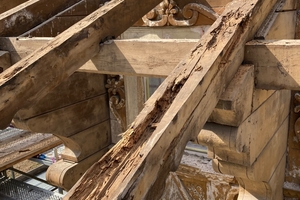  Bei verschiedenen, teilweise freiliegenden Konstruktionshölzern war der Holzschutz nicht gut ausgeführt, sodass sich im Laufe der Zeit Fäulnis ausgebreitet hatte 