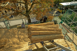  Die Dacharbeiten begannen im August 2023 und wurden von der Berliner Reetdachdeckerei Weichert ausgeführt 