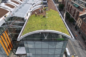  Die vorkultivierten Vegetationsmatten wurden palettenweise per Kran auf das Dach gehoben und verlegt 