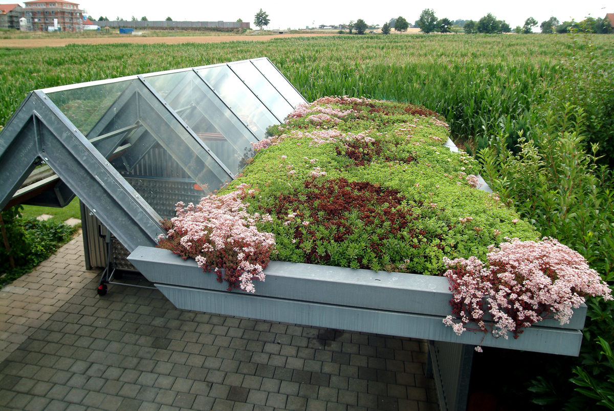 Bauder Gruendach Carport