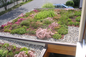  Extensive Begruenung Carport Bauder Gruendachpaket 