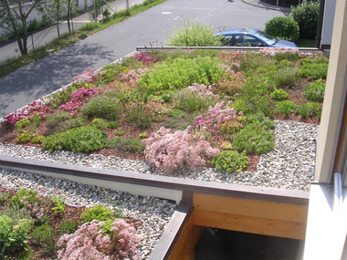Extensive Begruenung Carport Bauder Gruendachpaket