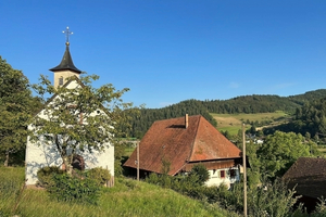  Martinshof Kinzigtal Sanierung Heco-Schrauben 