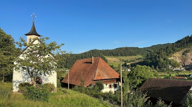 Martinshof Kinzigtal Sanierung Heco-Schrauben