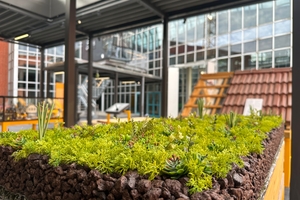  Wie komplex moderne Gründächer aufgebaut sind und welche Gewerke an deren Erstellung beteiligt sind, zeigt die neue Ausstellung zum Hochbau in der DASA 