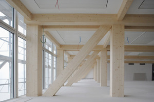  Blick in die Flucht des äußeren Tragfeldes. Der markante Diagonalträger dient sowohl der Aussteifung sowie der Aufnahmen der Querkräfte des schmaleren Dachgeschosses darüber
 