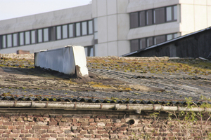  Durch mangelhafte Pflege bemoostes und&nbsp;falsch ausgebessertes Dach mit Wellasbestplatten
 
