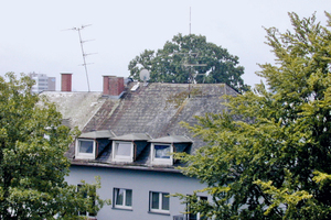  Reparaturbedürftiges Dach mit Betondachsteinen: Intensive Bemoosung macht eine Sanierung notwendig 