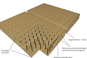  Schematische Zeichunung der Holzwerkstoffverbundplatte Holz 100 