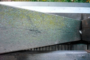  Fachwerk mit Moosbefall von oben gesehen 