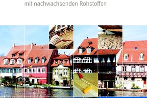  Die neue Publikation ergänzt die Anfang des Jahres erschienene Marktübersicht „Dämmstoffe aus nachwachsenden Rohstoffen“Quelle: FNR  