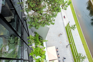  Stets aufs Neue finden sich am und auf dem Gebäude die Verflechtungen zwischen Natur und Architektur 